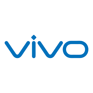 Vivo Mobile Battery