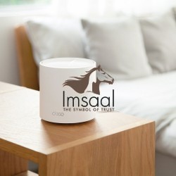 TP-Link Deco X50 AX3000 Whole Home Mesh Wi-Fi 6 System (1-Pack) Price in Pakistan, Karachi, Lahore, Islamabad