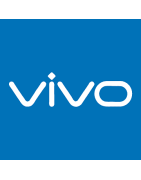 Vivo Mobile Battery